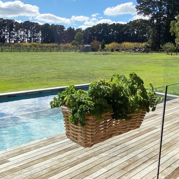 WIndow Basket